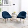 Biscuit Navy Upholstered Outdoor Dining Chair With Tufted Back (Set Of 2)